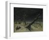 Winter Landscape, 1811-Caspar David Friedrich-Framed Giclee Print