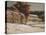 Winter Landscape, 1865-70 (Oil on Canvas)-Gustave Courbet-Stretched Canvas
