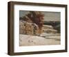 Winter Landscape, 1865-70 (Oil on Canvas)-Gustave Courbet-Framed Giclee Print
