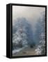 Winter Landscape, 1876-Ivan Konstantinovich Aivazovsky-Framed Stretched Canvas