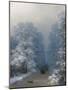 Winter Landscape, 1876-Ivan Konstantinovich Aivazovsky-Mounted Giclee Print