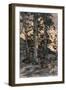 Winter Landscape, 1901-15-Ralph Albert Blakelock-Framed Giclee Print