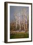 Winter Landscape, 1911-Aureliano De Beruete-Framed Giclee Print