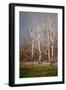 Winter Landscape, 1911-Aureliano De Beruete-Framed Giclee Print