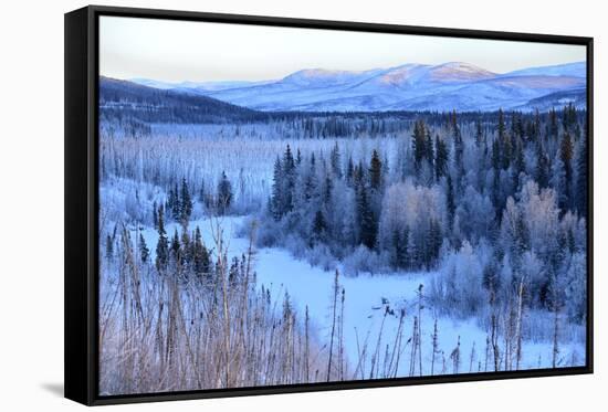 Winter Landscape Along the Steese Highway, Fairbanks, Alaska, Usa-Christian Heeb-Framed Stretched Canvas