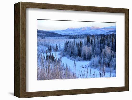 Winter Landscape Along the Steese Highway, Fairbanks, Alaska, Usa-Christian Heeb-Framed Photographic Print