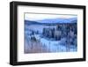 Winter Landscape Along the Steese Highway, Fairbanks, Alaska, Usa-Christian Heeb-Framed Photographic Print