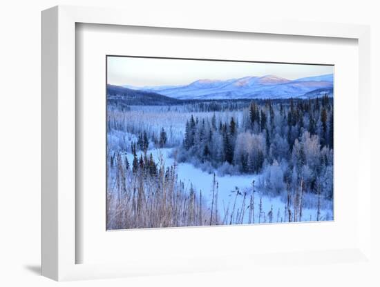 Winter Landscape Along the Steese Highway, Fairbanks, Alaska, Usa-Christian Heeb-Framed Photographic Print