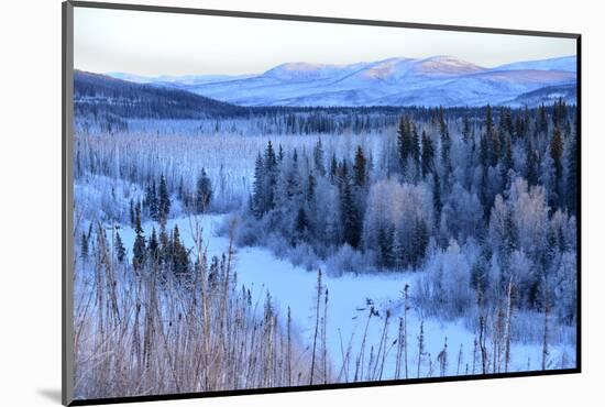 Winter Landscape Along the Steese Highway, Fairbanks, Alaska, Usa-Christian Heeb-Mounted Photographic Print