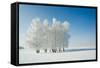 Winter Landscape and Trees-icefront-Framed Stretched Canvas