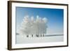 Winter Landscape and Trees-icefront-Framed Photographic Print