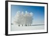 Winter Landscape and Trees-icefront-Framed Photographic Print