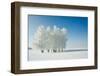 Winter Landscape and Trees-icefront-Framed Photographic Print