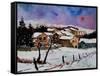 Winter landscape Ardennes Belgium-Pol Ledent-Framed Stretched Canvas