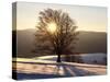 Winter Landscape at Schauinsland, Black Forest, Baden-Wurttemberg, Germany, Europe-Hans Peter Merten-Stretched Canvas