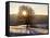 Winter Landscape at Schauinsland, Black Forest, Baden-Wurttemberg, Germany, Europe-Hans Peter Merten-Framed Stretched Canvas