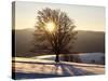 Winter Landscape at Schauinsland, Black Forest, Baden-Wurttemberg, Germany, Europe-Hans Peter Merten-Stretched Canvas