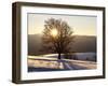 Winter Landscape at Schauinsland, Black Forest, Baden-Wurttemberg, Germany, Europe-Hans Peter Merten-Framed Photographic Print