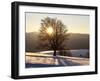 Winter Landscape at Schauinsland, Black Forest, Baden-Wurttemberg, Germany, Europe-Hans Peter Merten-Framed Photographic Print