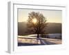 Winter Landscape at Schauinsland, Black Forest, Baden-Wurttemberg, Germany, Europe-Hans Peter Merten-Framed Photographic Print