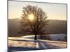 Winter Landscape at Schauinsland, Black Forest, Baden-Wurttemberg, Germany, Europe-Hans Peter Merten-Mounted Photographic Print