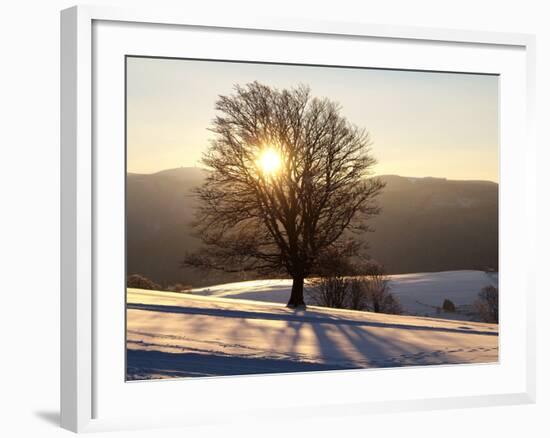 Winter Landscape at Schauinsland, Black Forest, Baden-Wurttemberg, Germany, Europe-Hans Peter Merten-Framed Photographic Print