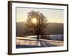 Winter Landscape at Schauinsland, Black Forest, Baden-Wurttemberg, Germany, Europe-Hans Peter Merten-Framed Photographic Print