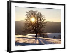 Winter Landscape at Schauinsland, Black Forest, Baden-Wurttemberg, Germany, Europe-Hans Peter Merten-Framed Photographic Print