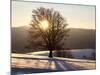 Winter Landscape at Schauinsland, Black Forest, Baden-Wurttemberg, Germany, Europe-Hans Peter Merten-Mounted Photographic Print