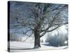 Winter Landscape at Thurner, Black Forest, Baden-Wurttemberg, Germany, Europe-Hans Peter Merten-Stretched Canvas