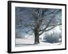 Winter Landscape at Thurner, Black Forest, Baden-Wurttemberg, Germany, Europe-Hans Peter Merten-Framed Photographic Print