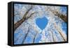 Winter Landscape,Branches Form a Heart-Shaped Pattern-06photo-Framed Stretched Canvas