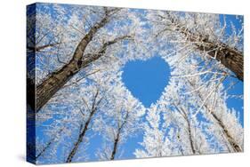 Winter Landscape,Branches Form a Heart-Shaped Pattern-06photo-Stretched Canvas