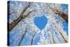 Winter Landscape,Branches Form a Heart-Shaped Pattern-06photo-Stretched Canvas