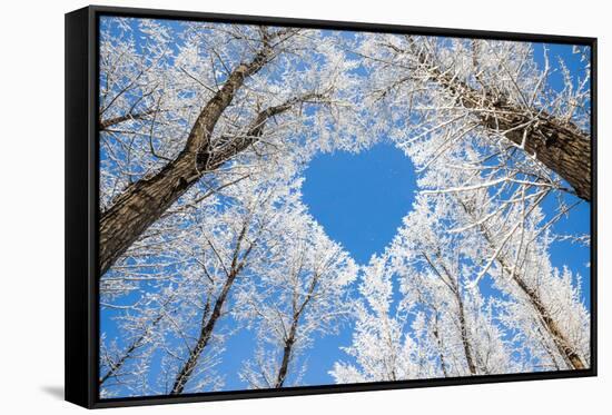 Winter Landscape,Branches Form a Heart-Shaped Pattern-06photo-Framed Stretched Canvas