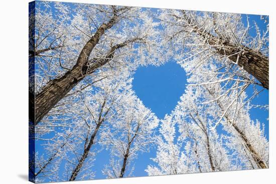 Winter Landscape,Branches Form a Heart-Shaped Pattern-06photo-Stretched Canvas