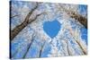 Winter Landscape,Branches Form a Heart-Shaped Pattern-06photo-Stretched Canvas