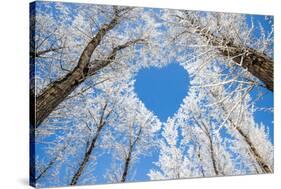 Winter Landscape,Branches Form a Heart-Shaped Pattern-06photo-Stretched Canvas