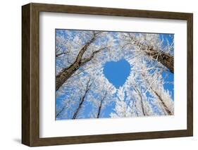 Winter Landscape,Branches Form a Heart-Shaped Pattern-06photo-Framed Photographic Print