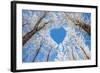 Winter Landscape,Branches Form a Heart-Shaped Pattern-06photo-Framed Photographic Print