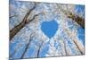 Winter Landscape,Branches Form a Heart-Shaped Pattern-06photo-Mounted Photographic Print