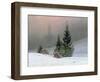 Winter Landscape, C.1811-Caspar David Friedrich-Framed Giclee Print