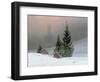 Winter Landscape, C.1811-Caspar David Friedrich-Framed Giclee Print