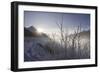 Winter Landscape Canadian Rockies NEAR MALIGNE Lake, JASPER NATIONAL Park, Canada, A Lberta., 1960S-Dean Conger-Framed Giclee Print