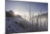 Winter Landscape Canadian Rockies NEAR MALIGNE Lake, JASPER NATIONAL Park, Canada, A Lberta., 1960S-Dean Conger-Mounted Giclee Print