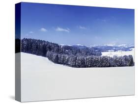 Winter Landscape, Glottertal Valley, Black Forest, Baden Wurttemberg, Germany, Europe-Marcus Lange-Stretched Canvas