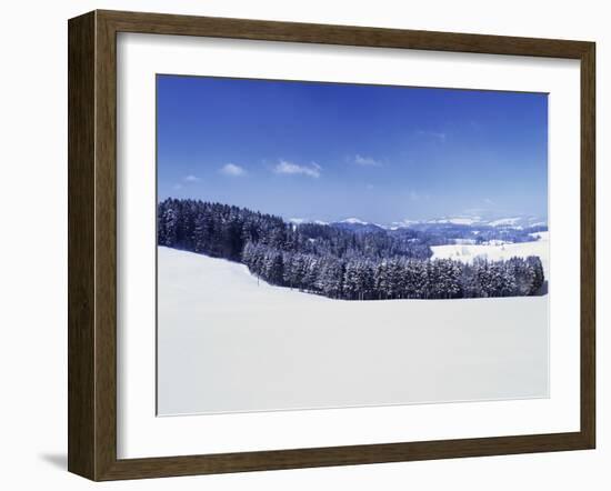 Winter Landscape, Glottertal Valley, Black Forest, Baden Wurttemberg, Germany, Europe-Marcus Lange-Framed Photographic Print