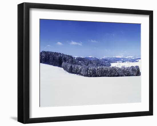 Winter Landscape, Glottertal Valley, Black Forest, Baden Wurttemberg, Germany, Europe-Marcus Lange-Framed Photographic Print