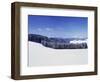 Winter Landscape, Glottertal Valley, Black Forest, Baden Wurttemberg, Germany, Europe-Marcus Lange-Framed Photographic Print