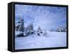 Winter Landscape, Hudson Bay, Manitoba, Canada-Thorsten Milse-Framed Stretched Canvas